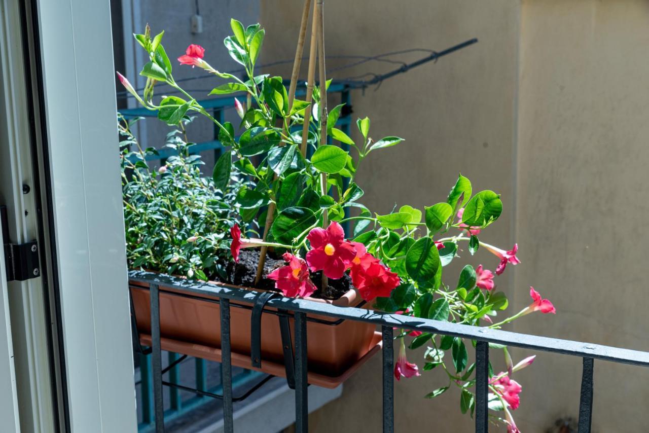 Mandevilla Home Caiazzo 外观 照片